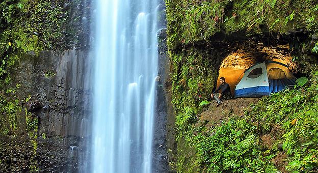 Naturaleza en la amazonia
