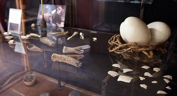 Museo Comechingon Museo Comechingon