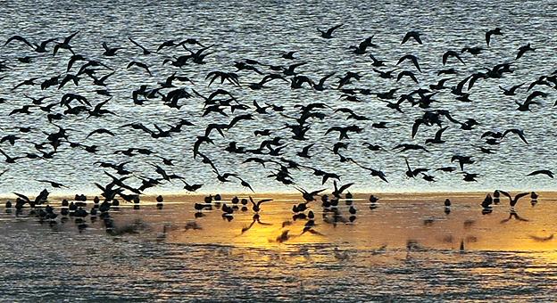 Biodiversidad la naturaleza en su maxima expresión