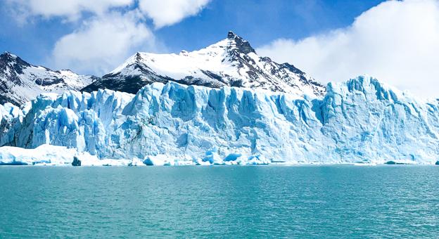calafate