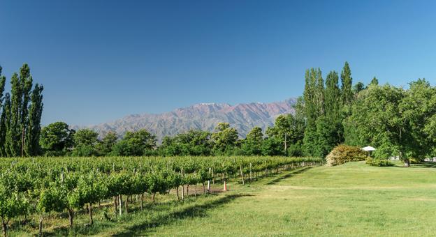 mendoza
