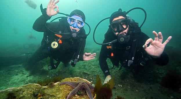 Buceo