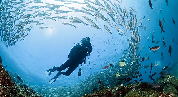 Buceo en Galapagos