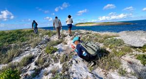 Explorando Prickly Pear