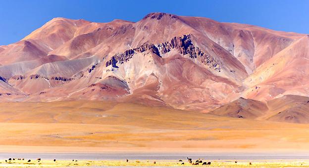Atacama